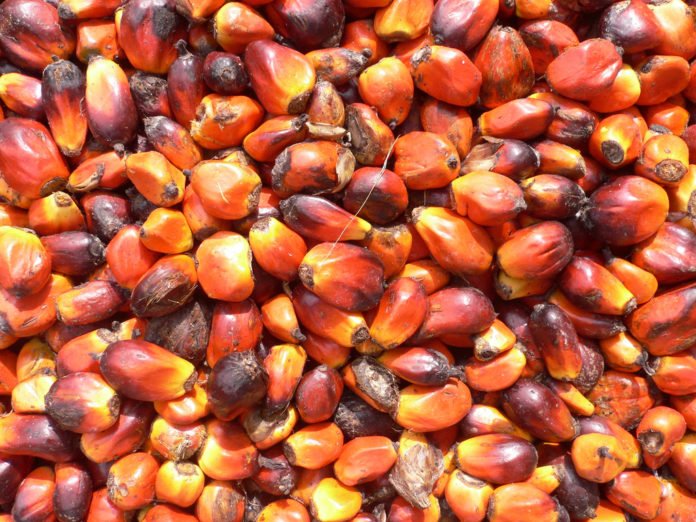 Ghana to become the regional top performer in palm oil production.