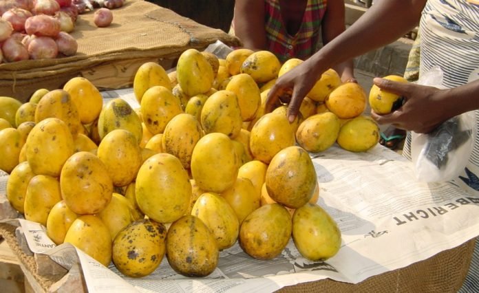 LIFESTYLE: Mango Season; the volume of mango that people with diabetes must eat per day.