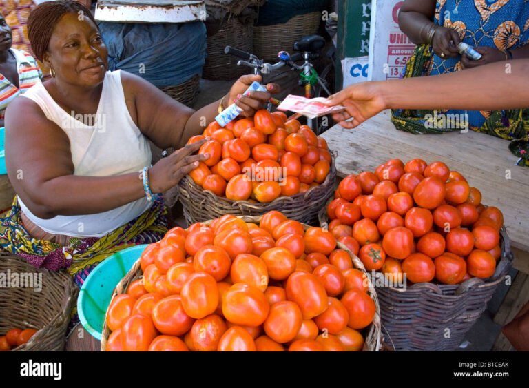 A/R: TOMATO PRICES SHOOT UP; IMPORTERS BLAME BOKO HARAM, HIGH CFA EXCHANGE RATE