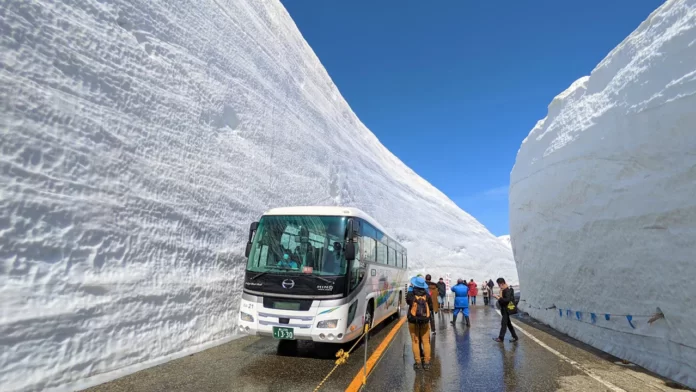 Along the Tateyama Kurobe Alpine Route, the 500-meter-long Yuki no Otani, or Great Valley of Snow, travels between high snow cliffs.