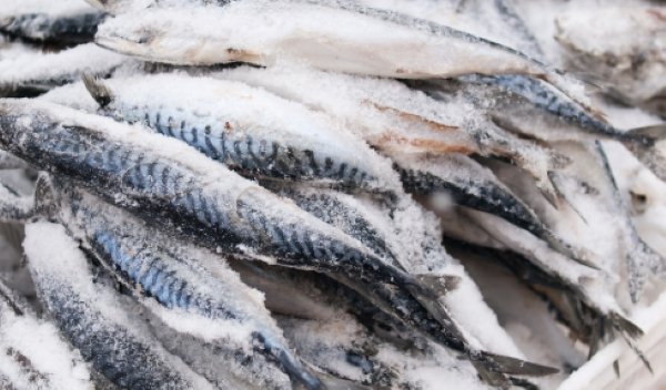 FISH IMPORT SHORTAGE IN THE OFFING – BULK FISH IMPORTERS ASSOC WARNS